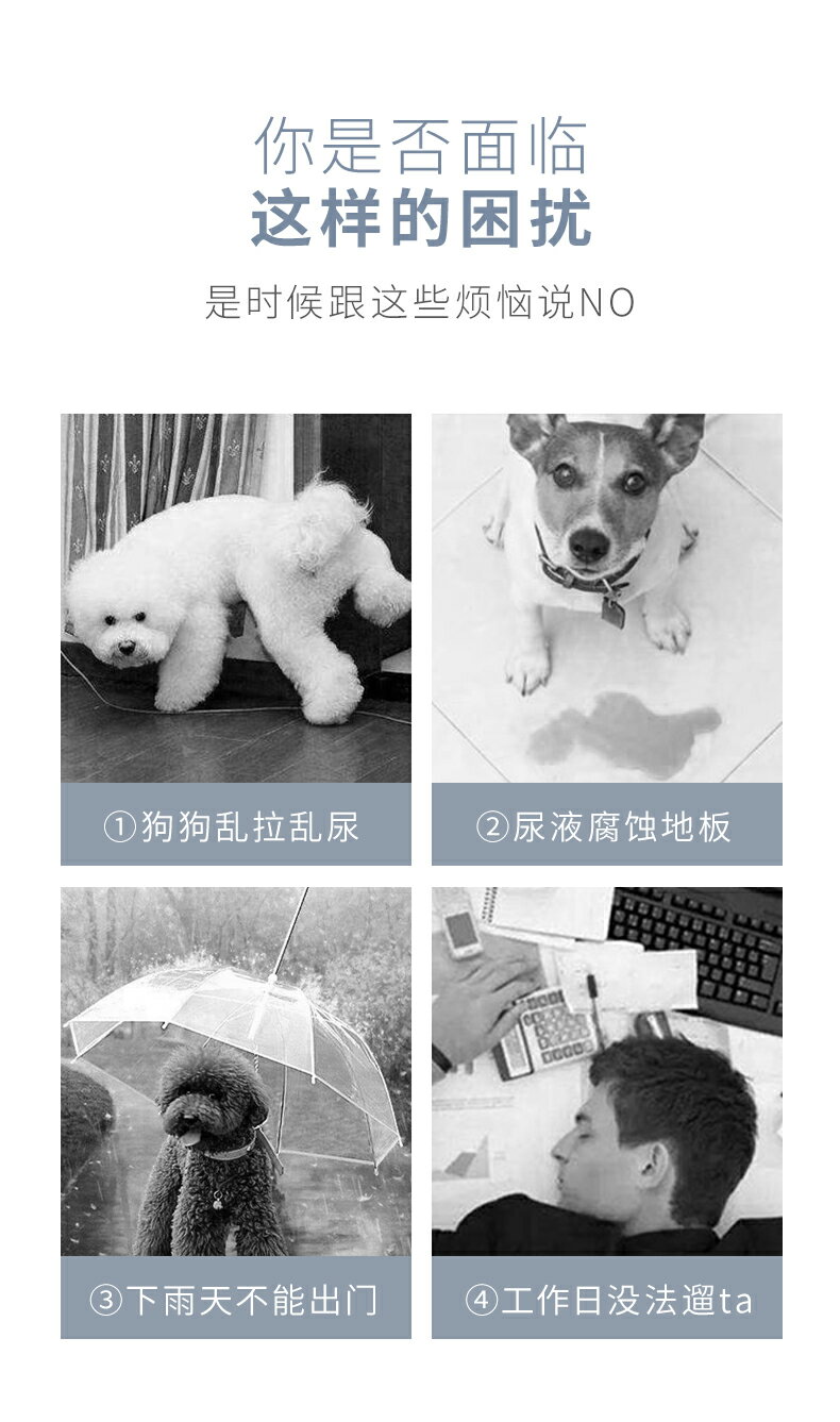 【可開發票】限時下殺 狗狗廁所柯基中型小型犬自動寵物用品尿盆便盆沖水排狗砂盆防踩屎 2