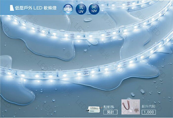 【燈王的店】舞光 5050低壓戶外高亮型LED軟條燈 (白光/黃光) （驅動器另購，一捆五米) LED-50WO12V
