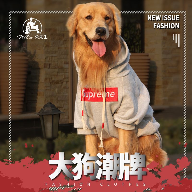 公司貨 最低價 免運 潮牌大狗衣服中大型犬衣服秋冬衛衣金毛拉布拉多阿拉斯加