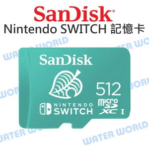 SanDisk SWITCH 任天堂 micro 512G【V30 讀100MB 寫90MB】記憶卡【中壢NOVA-水世界】