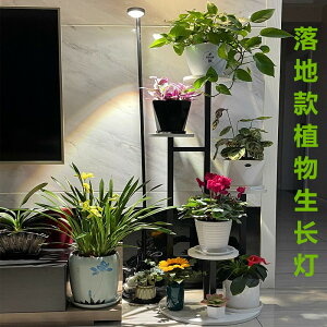 110V全光譜植物生長補光燈室內COB落地式家用多肉花卉綠植上色光照燈 夢露日記