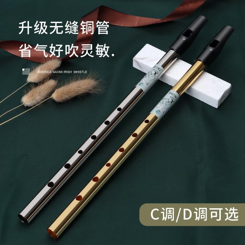 NAOMI愛爾蘭哨笛 初學者入門款六孔豎笛高音金屬直笛【北歐家居生活】