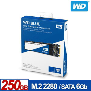 WD SSD 250GB M.2 SATA 3D NAND固態硬碟 藍標 ** 五年保固 ** WDS250G3B0B