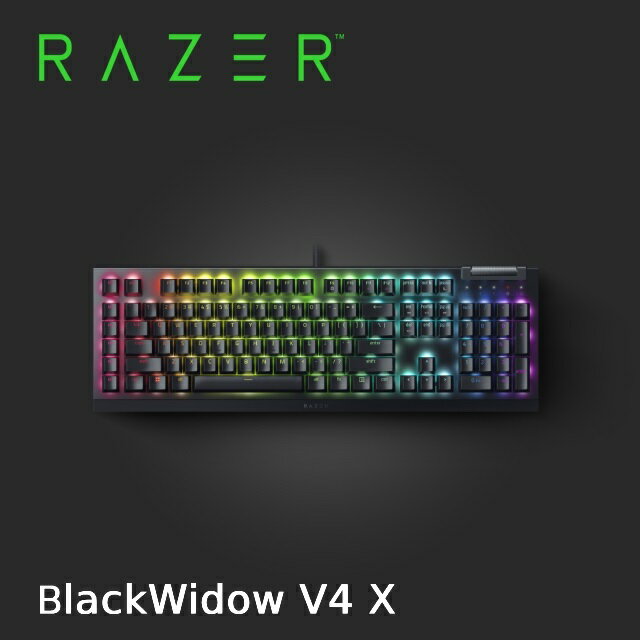 【hd數位3c】Razer BlackWidow V4 X 機械式鍵盤/有線/綠軸/中文/六個巨集鍵/多功能滾輪/Rgb【下標前請先詢問 有無庫存】【活動價至6/30】