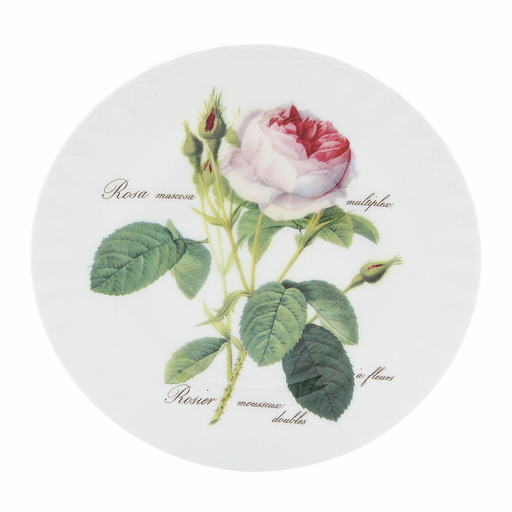 英國 Roy kirkham浪漫淺玫瑰系列 - 20cm餐盤