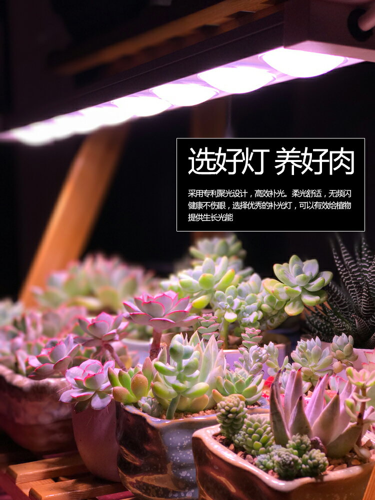 LED植物燈/植物生長燈 科瑞LED植物生長燈全光譜多肉補光燈上色室內雨林缸盆栽微景觀燈『XY39769』