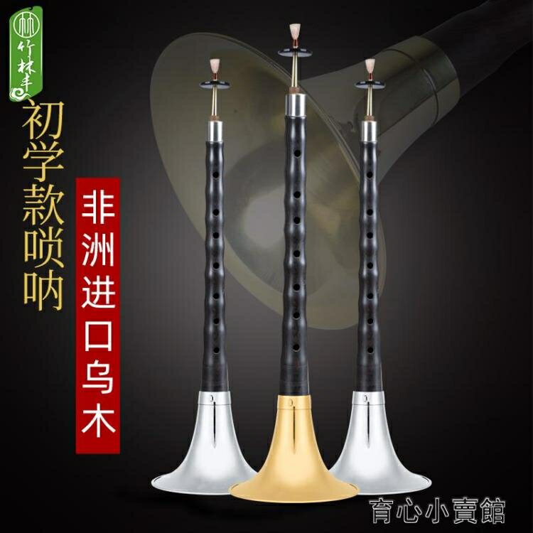 竹林豐民間嗩吶樂器全套純銅老式初學者入門小號d調喇叭紅白喜事 免運開發票