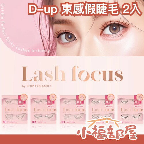 日本新款✨D-up lash focus束感假睫毛 2入 附迷你假睫毛膠 根根分明 韓系睫毛 新手假睫毛 自然系 韓妝 美睫【小福部屋】