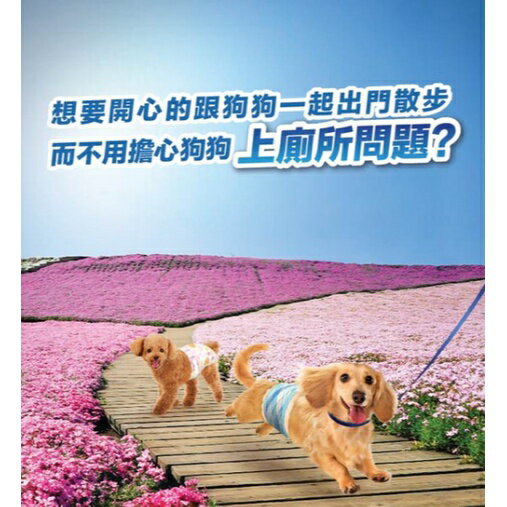 【日本嬌聯 禮貌帶 男生/女生 全系列】全尺寸 公狗禮貌帶 母狗禮貌帶 生理褲 尿布 6
