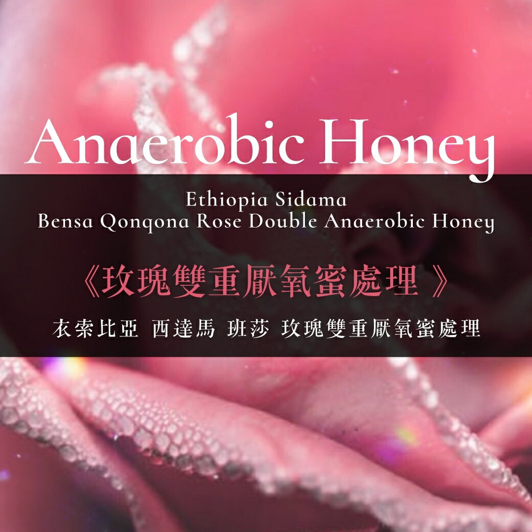 淺烘焙︱《玫瑰雙重厭氧蜜處理 》衣索比亞 西達馬 班莎 玫瑰雙重厭氧蜜處理  ﹙半磅裝／227g﹚ | 浪館手工豆