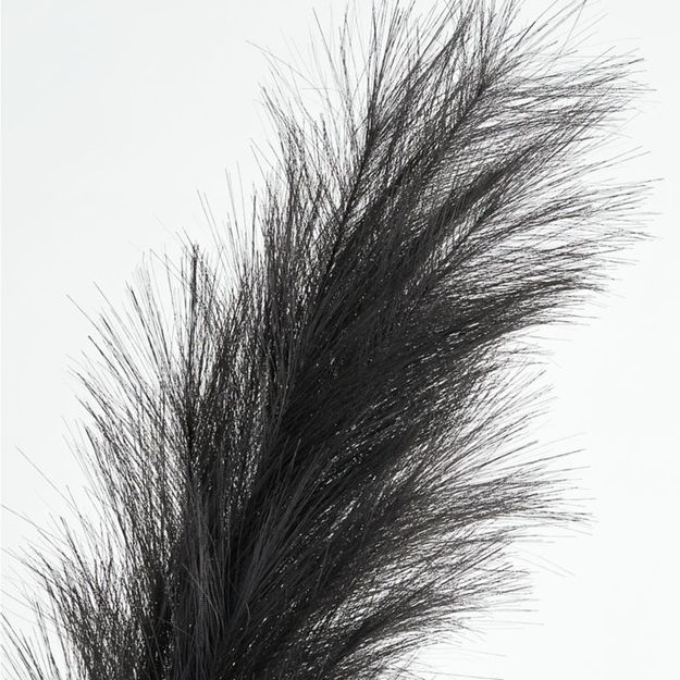 【美式都會&鄉村】Pampas Grass 蒲葦插枝 黑 2