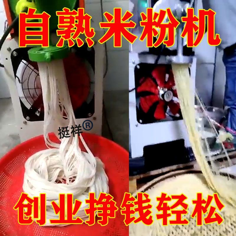 【臺灣公司 可開發票】家用米粉機全自動商用不銹鋼桂林米粉雲南米線紅薯粉自熟粉條餌塊