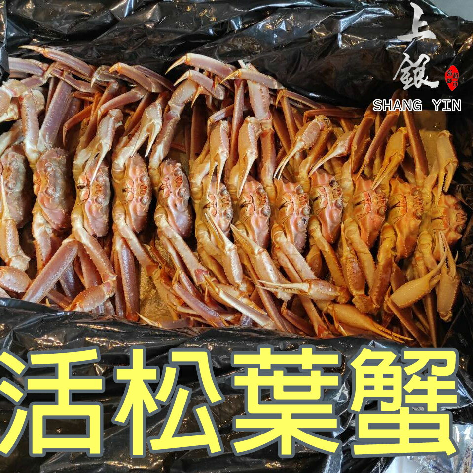 【上銀水產超市】活松葉蟹950g-1kg/隻
