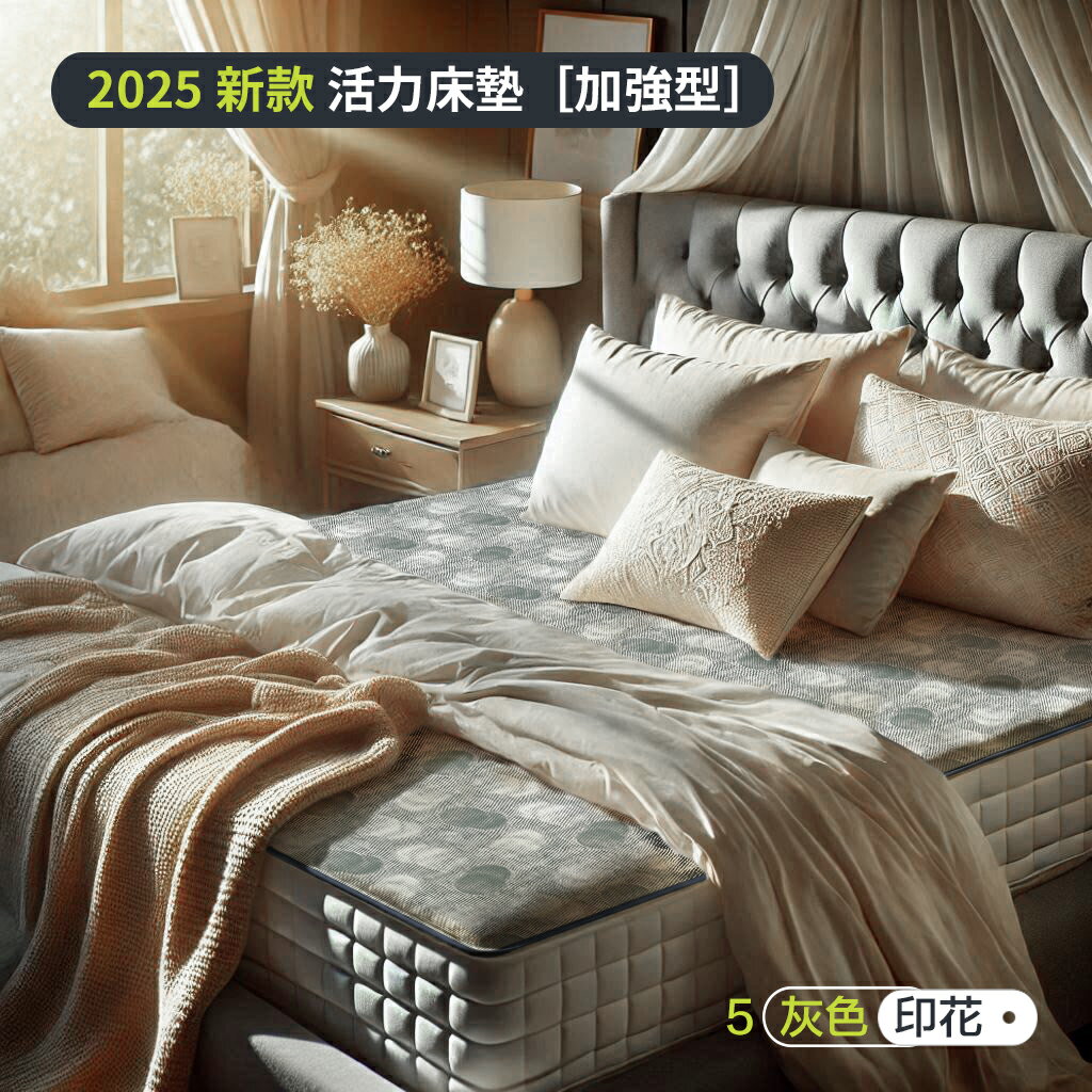 OTNYTEX 新款冬季活力床墊 [加強型] 效能加一倍 1