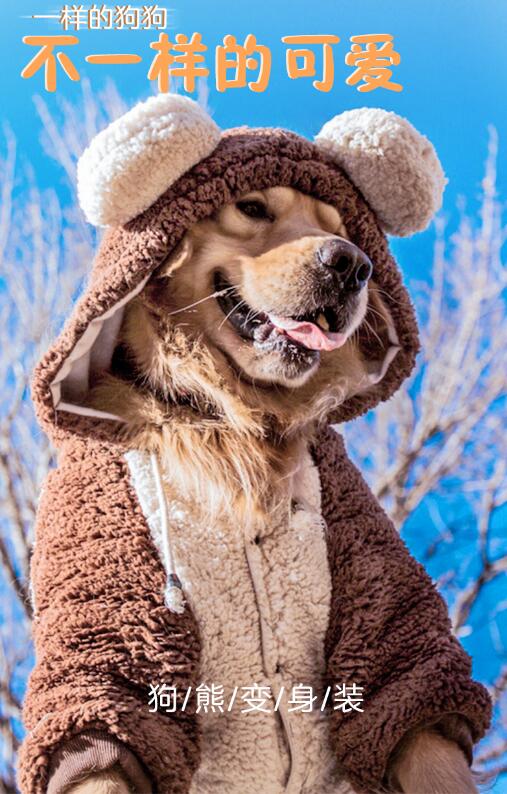 狗狗衣服冬天保暖金毛中型大型犬冬季拉佈拉多大狗四腳寵物秋冬裝 大狗熊兩腳裝