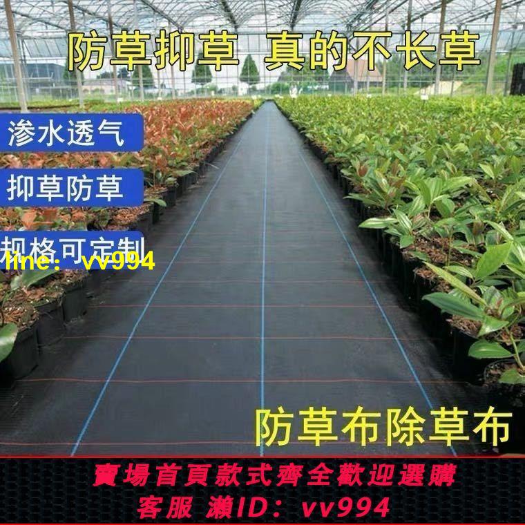 防草布農用加厚園藝除草布地布抗老化遮蓋草果樹園林透氣保濕耐用