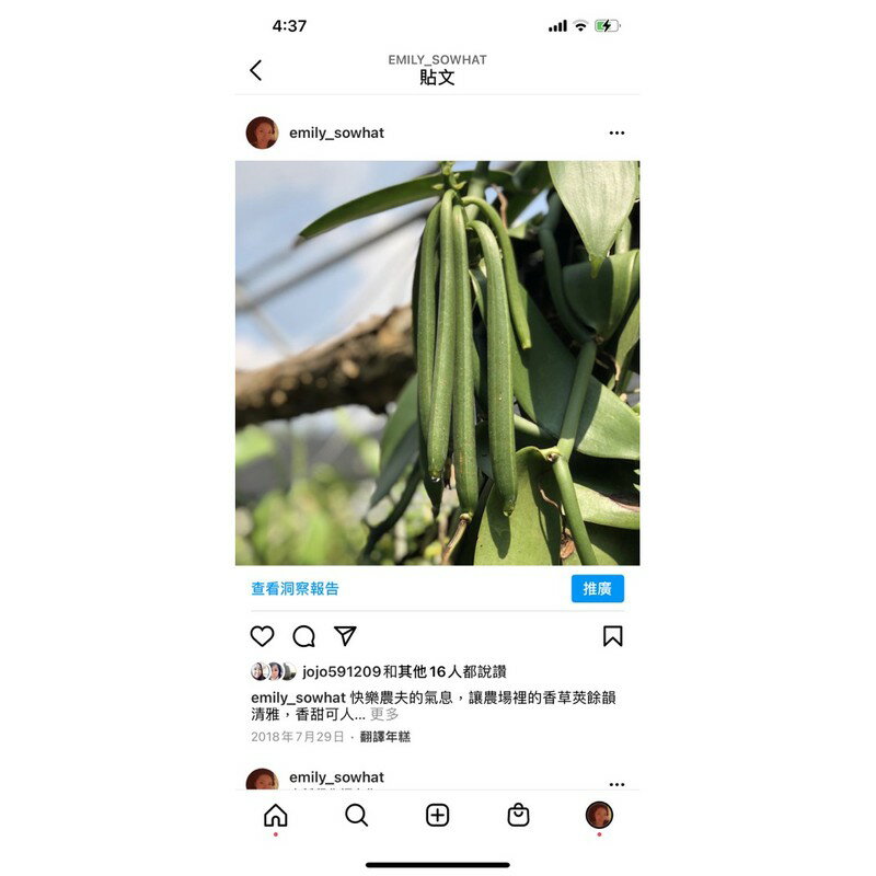 EMOR妍蘭若_天然香草蠟燭 110g 1