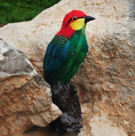 動物模型 模擬紅頭綠鳩 羽毛鳥鸚鵡 攝影道具玩具 園林場景擺件