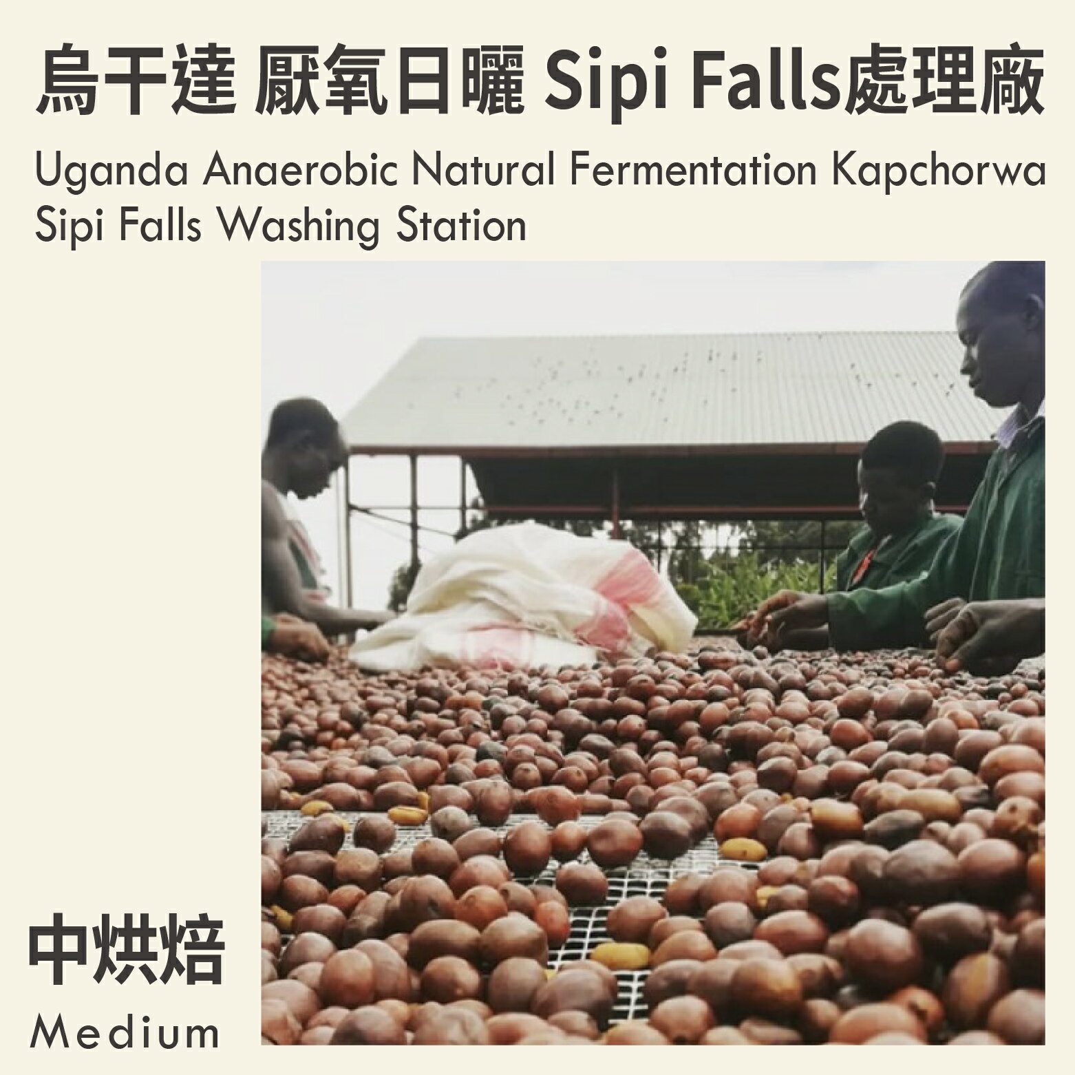 KaKaLove 咖啡-烏干達 厭氧日曬 Kapchorwa Sipi Falls處理廠 0.5磅