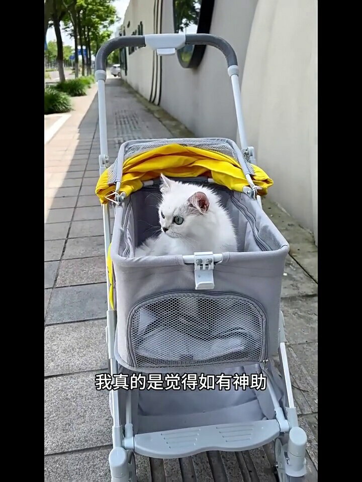 【爆款】寵物推車輕便可折疊手推車狗狗推車外出遛狗小型寵物車