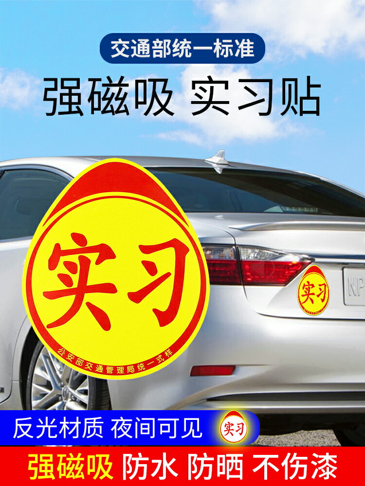 虎騎士新手上路實習期車貼創意提示女司機反光磁吸個性汽車貼紙