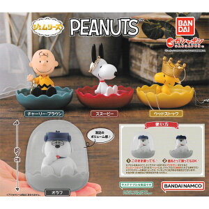 全套4款【日本正版】史努比 飾品收納盒 扭蛋 轉蛋 飾品盒 Snoopy PEANUTS BANDAI 萬代 - 121011