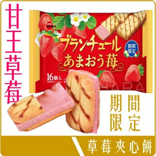 《 Chara 微百貨 》 日本 北日本 午茶夾心餅乾 16枚入 124.8g 甘王 草莓 團購 批發 Bourbon