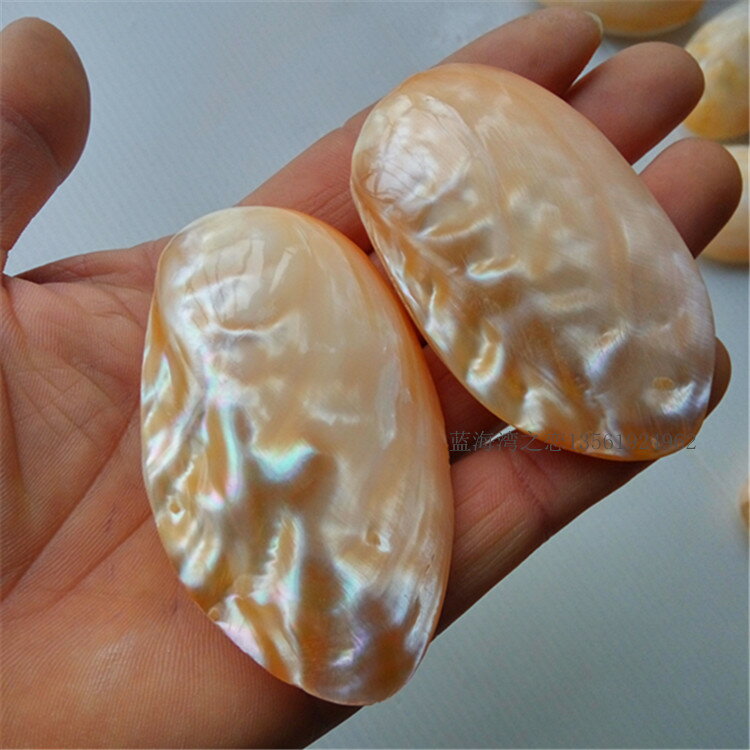 海螺貝殼工藝品 光澤珍珠貝雙面蚌殼 創意爸媽禮物 刮痧板 手把件