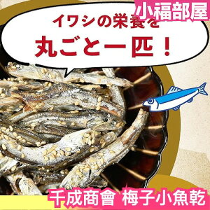 日本 千成商會 梅子小魚乾 小魚乾 沙丁魚 梅味 下酒菜 零食 魚乾 大容量 日式零食