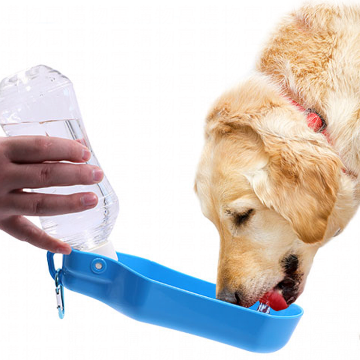 24H出貨【寵物隨行杯】寵物飲水機 寵物水壺 寵物隨行杯 寵物飲水器【AB088】