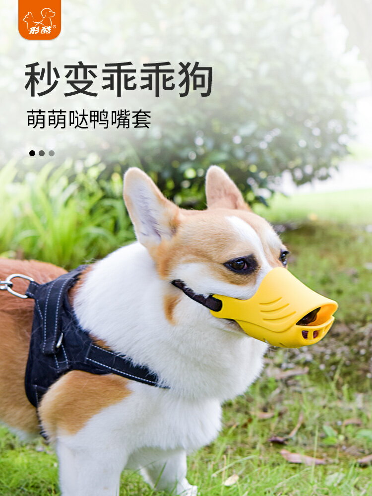 狗狗嘴套 狗嘴套防叫防咬防亂吃小狗柯基泰迪嘴罩中型犬小型犬寵物狗狗口罩【MJ192506】