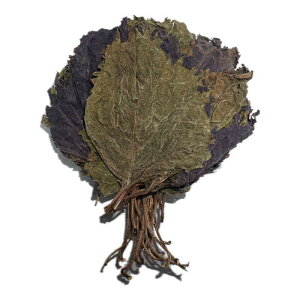 【168all】600g【嚴選】乾燥紫蘇葉 Dried Perilla Leaf