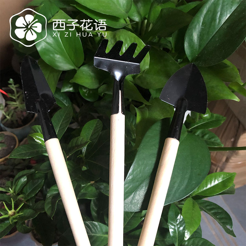 園藝鏟套裝 迷你園藝工具三件套栽花種菜種花家庭小鏟子耙鍬加厚綠蘿多肉植物『XY20258』
