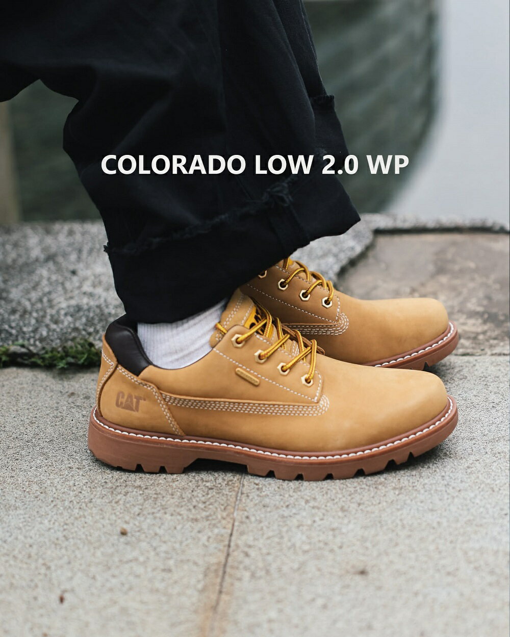 CAT Colorado Low 2.0 Wp 防水真皮休閒鞋舒適 女鞋－小麥黃 7