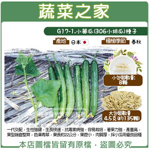 【蔬菜之家】G17-1.小黃瓜(306小胡瓜)種子 (共有2種包裝可選)