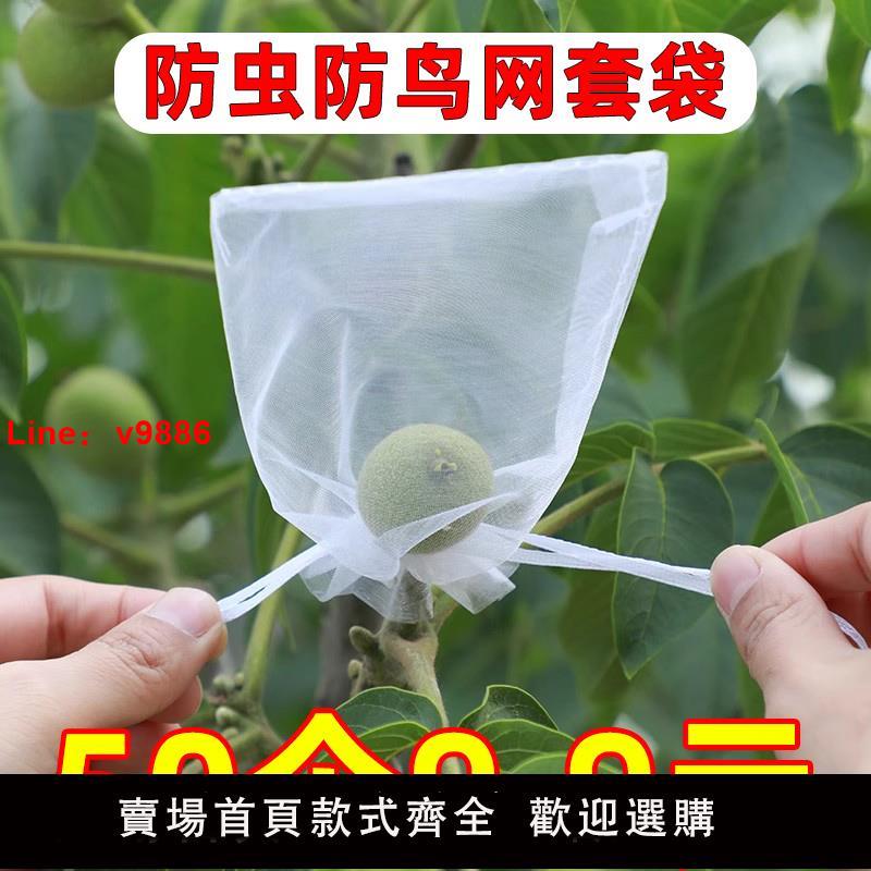 【臺灣公司 可開發票】水果防蟲防鳥套袋保護番茄草莓套袋子雙抽繩束口紗袋蔬果收納袋子