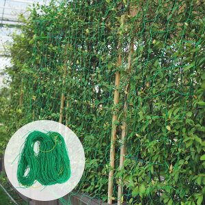 爬藤網種植網家用戶外庭院絲瓜百香果植物攀爬架園藝網爬藤網繩子