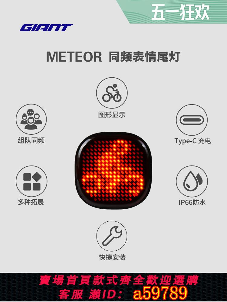 【臺灣公司 可打統編】GIANT捷安特Meteor同頻表情尾燈IP66防水山地車公路車自行車燈