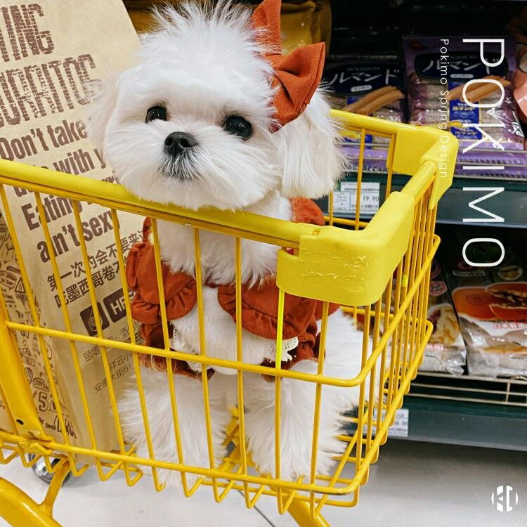 寵物衣服 馬爾濟斯約克夏薄款棉麻襯衫【聚物優品】