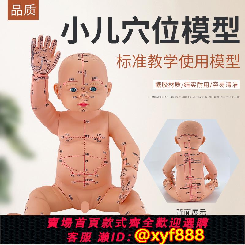 {可打統編 保固一年}嬰兒穴位娃娃 推拿按摩嬰兒中醫通用小兒針灸穴位寶寶仿真模型