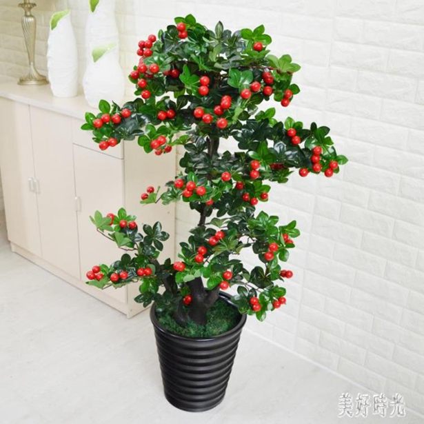 Muji 無印良品植物 花束 庭院 花草與園藝 22年1月 Rakuten樂天市場