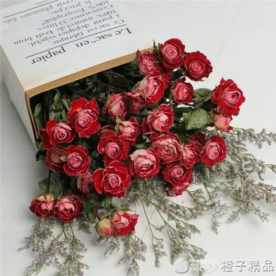 北歐擺設 花束 庭院 花草與園藝 22年8月 Rakuten樂天市場 北歐擺設 花束 庭院 花草與園藝 22年8月 Rakuten樂天市場