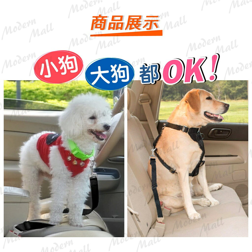 寵物安全帶【狗狗安全守護神💎台灣現貨】狗狗安全帶 寵物車用 貓咪牽繩 寵物外出 寵物牽繩 狗狗牽繩 牽繩 7