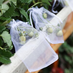 防蟲袋 防蟲網 海蒂的花園 草莓藍莓套袋透氣防蟲防鳥可循環使用家庭果蔬保護袋『cy1381』