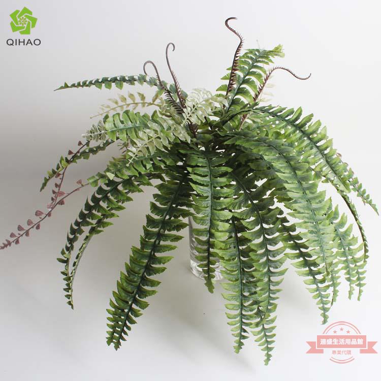模擬蕨類植物大波斯草模擬草波斯蕨植物墻裝飾把束蕨草人造塑膠草