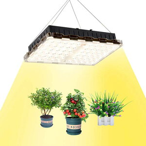 ZSHONORLIGH【日本代購】LED植物成長燈 植物培育燈 完全光譜-300W