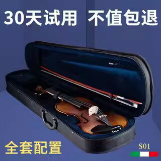 【可開發票】雅卡薩手工小提琴初學者純實木專業級全實木自學教學成人兒童樂器