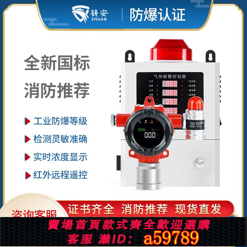 【臺灣公司 可打統編】可燃氣體探測報警器工業防爆商用液化氣天然氣油漆濃度洩露檢測儀
