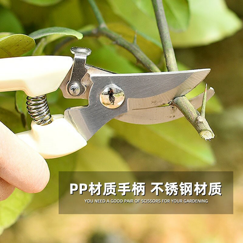 園藝剪刀剪枝剪樹枝修枝剪花剪園林修剪粗枝剪子省力花藝工具 1
