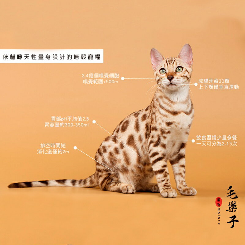 Trilogy 奇境 無穀全貓糧 羊肺凍乾 無穀貓飼料 凍乾 貓糧 小包裝 300g 2